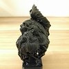 img_20170130_180744.jpg