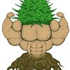 newbud_1.jpg