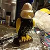IMG_20150926_235817.jpg